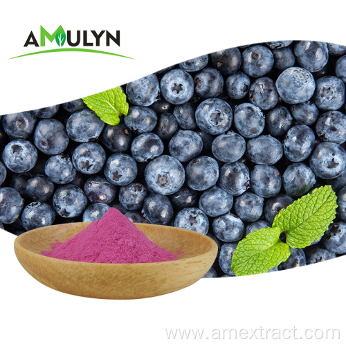 Blueberry Fruit Juice Extract Powder